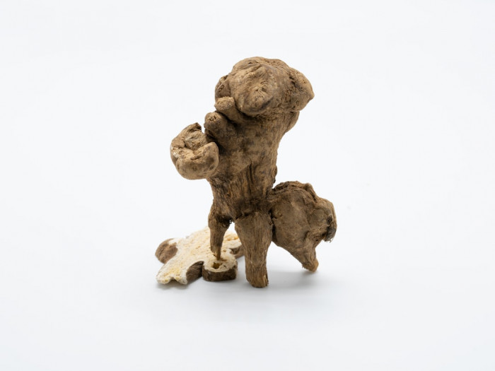 Şeyma Subaşı'nın İngilizceyi Öğrenme Süreci