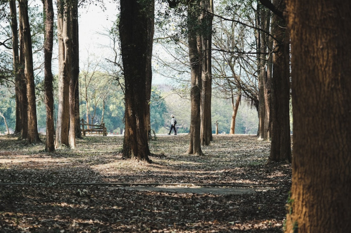 İngilizcede "Avrupa" Nasıl Yazılır?