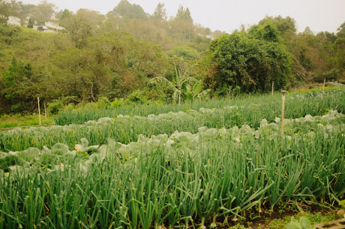 8. Sınıf Tutku Yayınları İngilizce Ders Kitabı İncelemesi